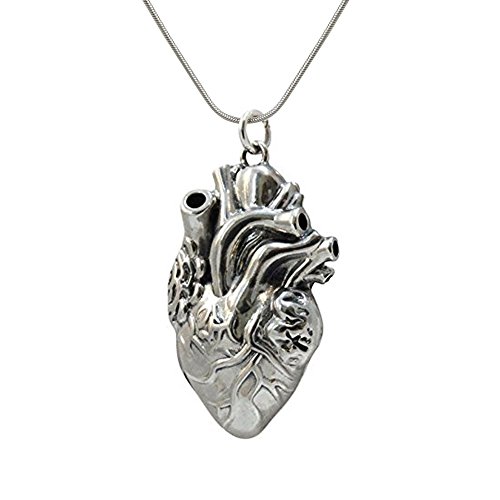 Anatomical Heart