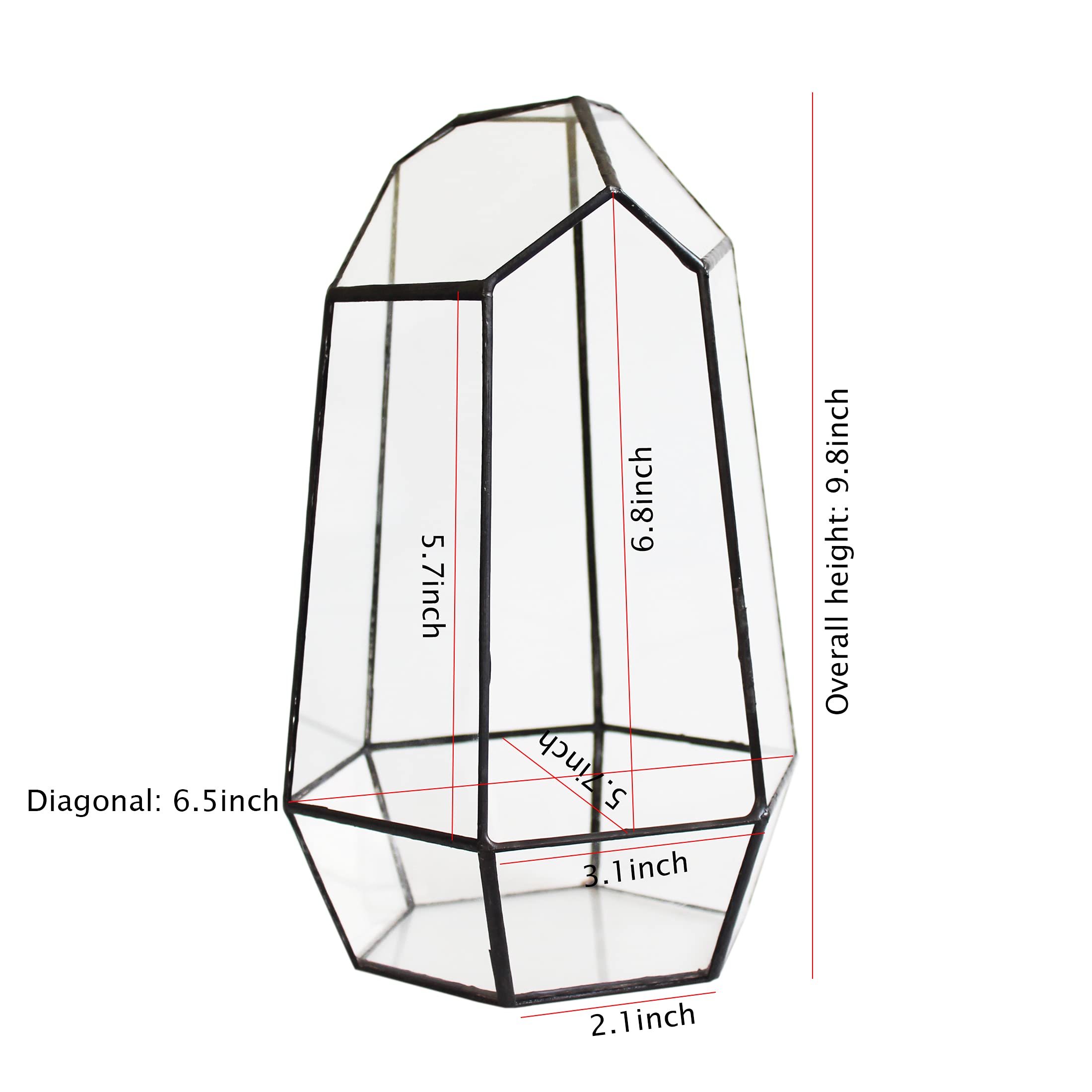 Geometric Glass Terrarium Planter for Cacti & Succulents - Irregular Tabletop Container (6.5x5.7x9.8 Inches) - Modern Home, Office & Garden Decor - Perfect for Indoor Plants, Desk Decor & Gift Ideas