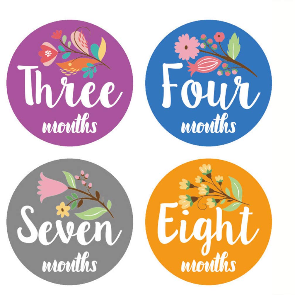 Ciieeo 12-Month Baby Milestone Stickers Set - Floral Cute Infant Growth Photo Props for Newborn Girls | Perfect for Monthly Baby Photos, First Birthday Decorations & Nursery Wall Art