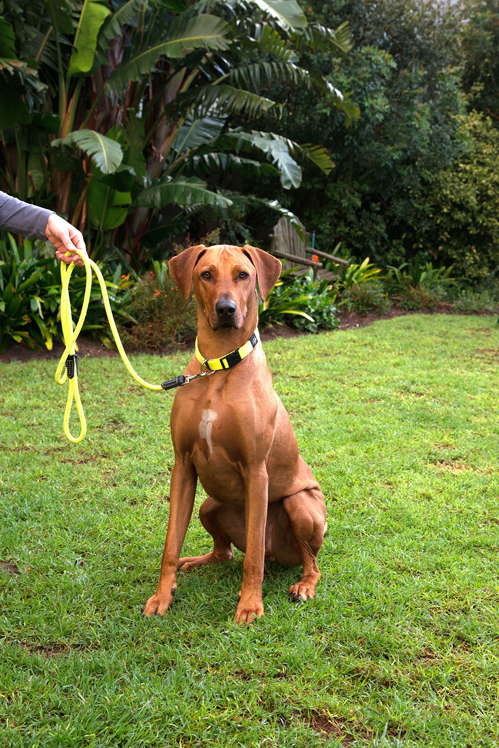 Reflective Rope Dog Leash for Large Dogs - 5/8