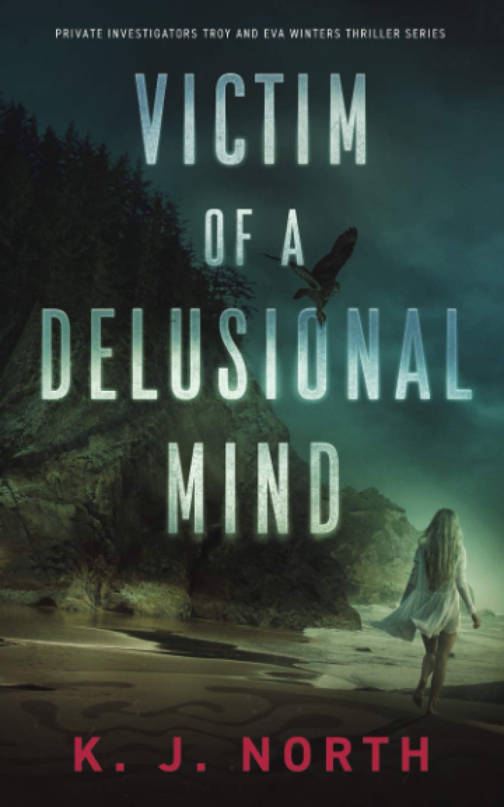 Victim of a Delusional Mind: A Gripping Psychological Thriller - Troy & Eva Winters Private Investigator Series | Perfect for Mystery Lovers & Crime Fiction Fans