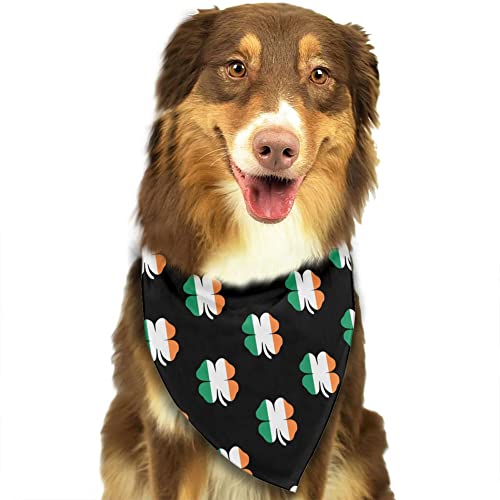 Irish Flag Shamrock