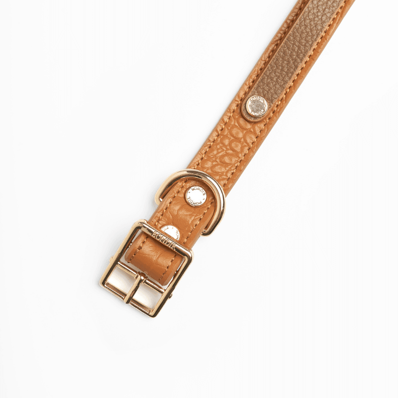 Slim Amber Leather Dog Collar - Adjustable & Durable Pet Collar for Small to Medium Dogs - Perfect for Daily Walks, Training & Outdoor Adventures