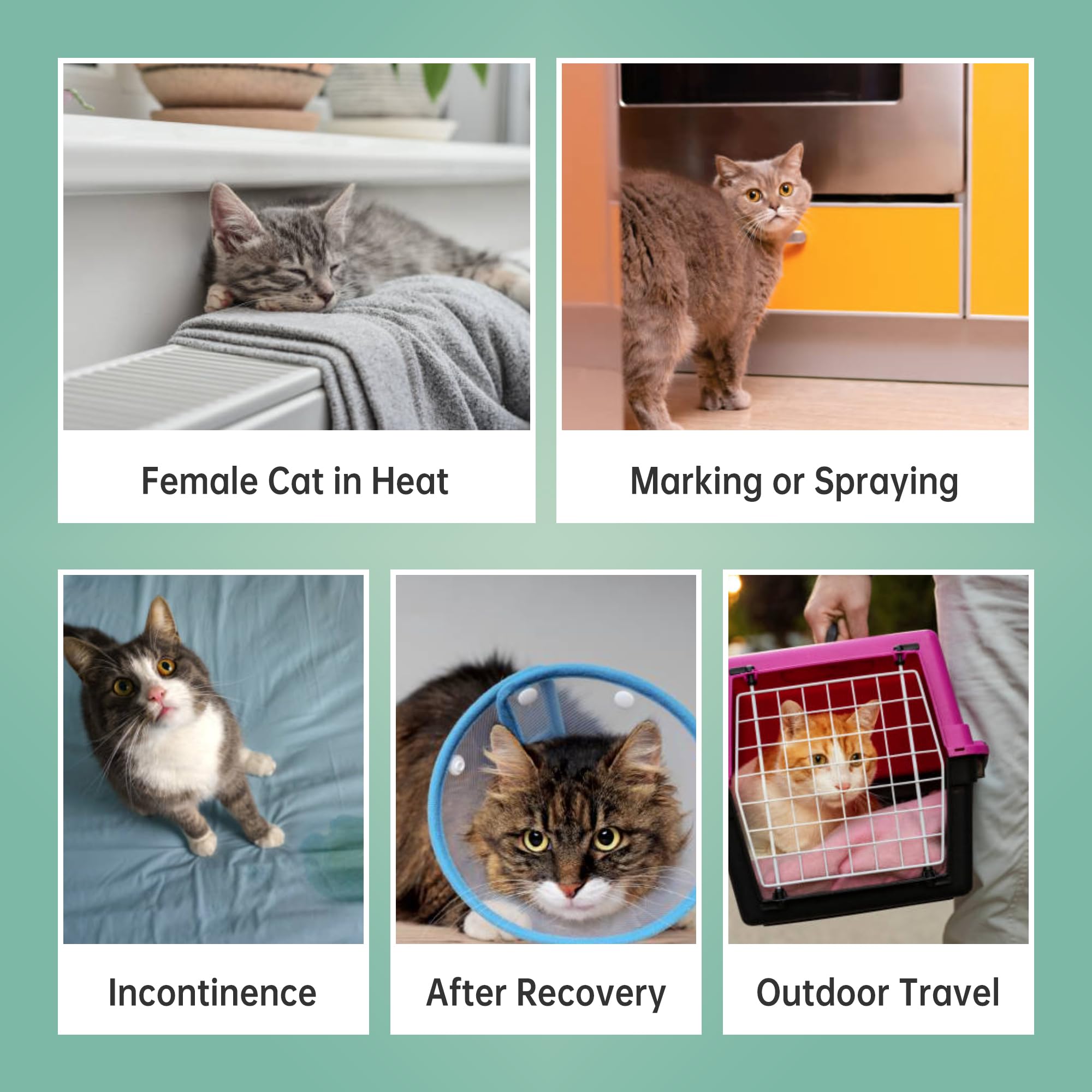 Wegreeco Reusable Cat Diapers for Female & Male Cats - Adjustable Snaps, Highly Absorbent Pet Diapers for Incontinence & Spraying - 3 Pack Small - Perfect for Elderly, Post-Surgery & House-Training Cats