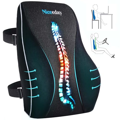 3d Full Back Lumbar Pillow/Black