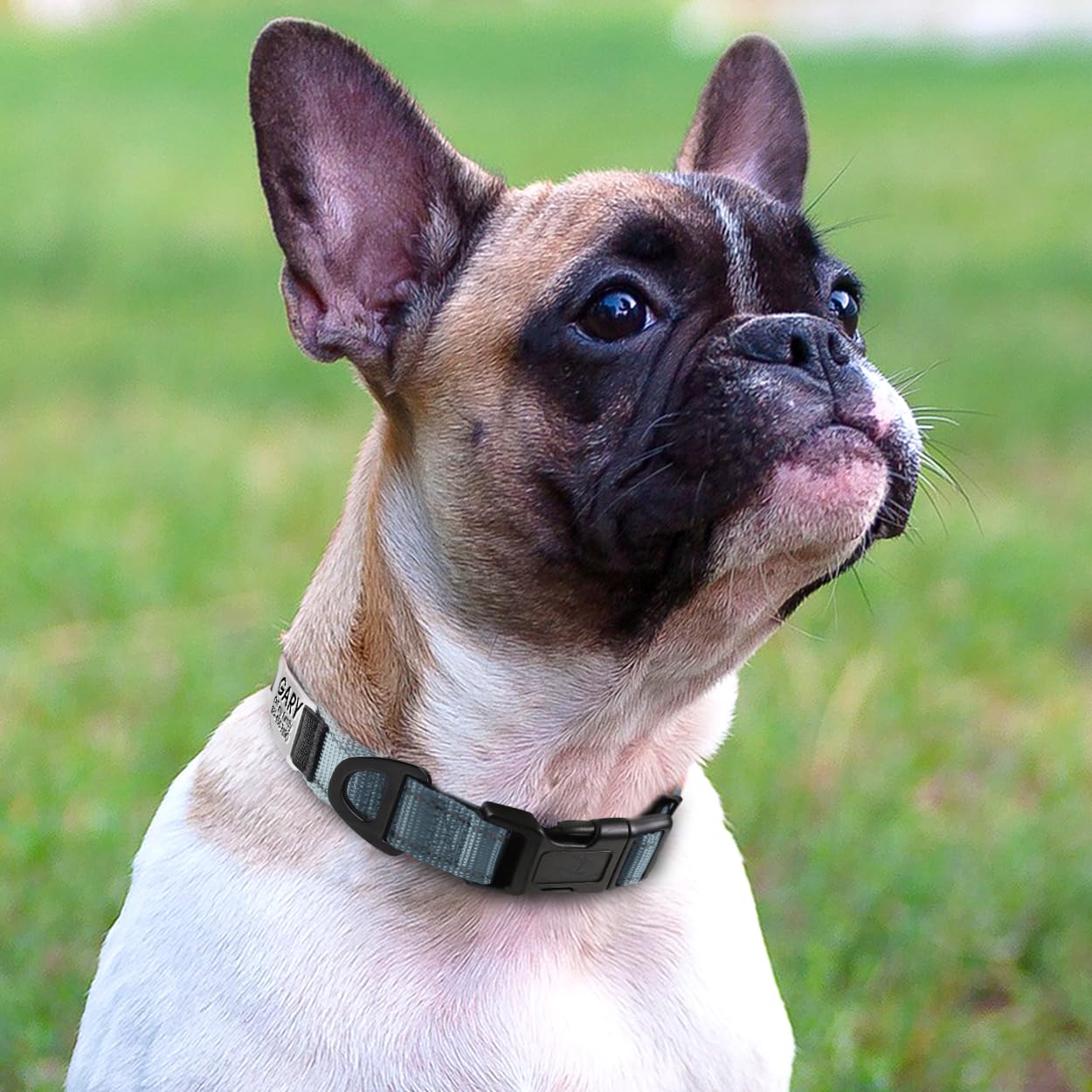 Joytale Personalized Reflective Nylon Dog Collar with Engraved Name Plate - Custom Small Dog Collar in Gray Size S - Perfect for Night Walks & Pet Safety
