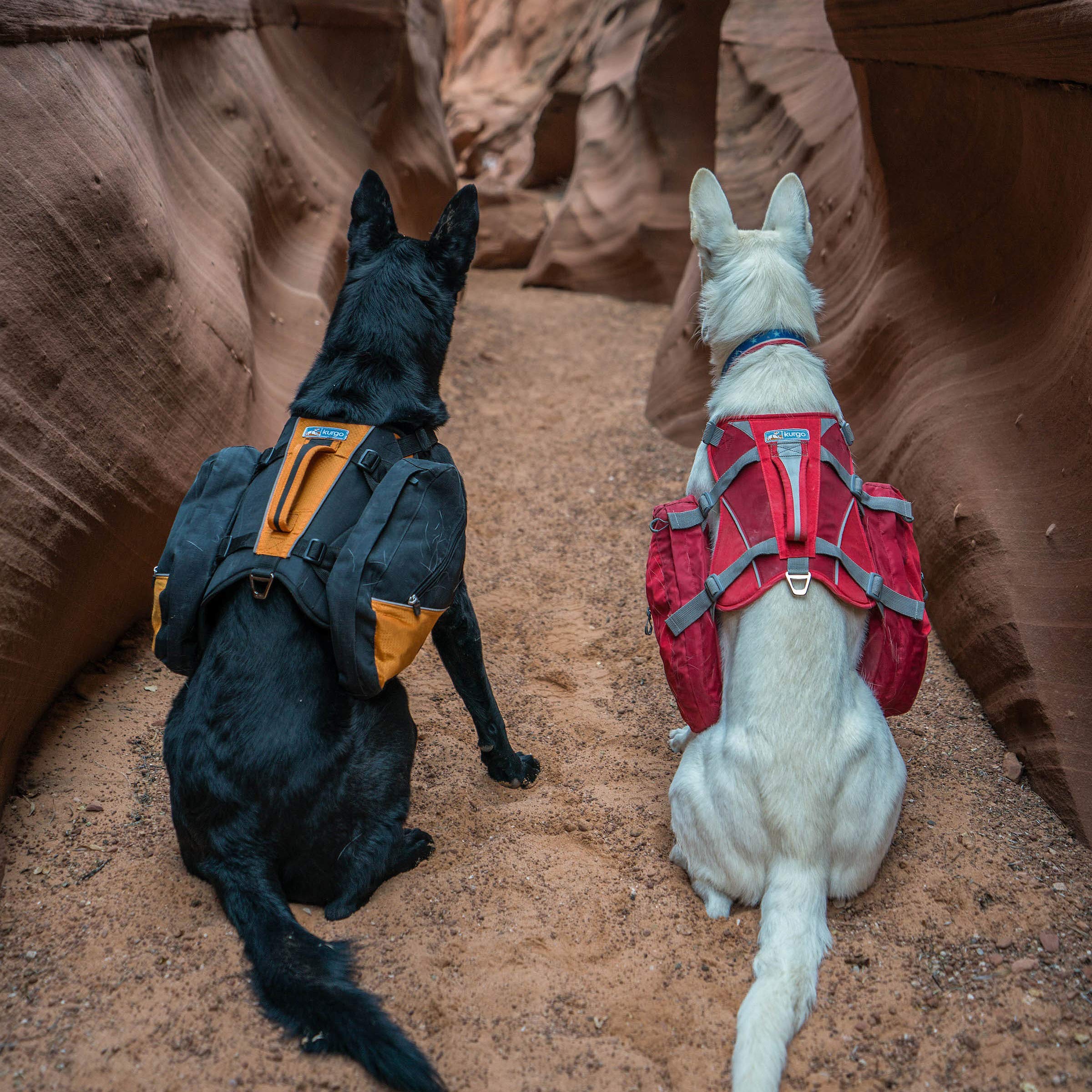 Kurgo Dog Saddlebag Backpack - Lightweight Reflective Hiking Pack for Medium & Large Dogs | Adjustable Travel Vest Harness for Camping, Walking & Outdoor Adventures | Durable Pet Carrier with Storage Pockets