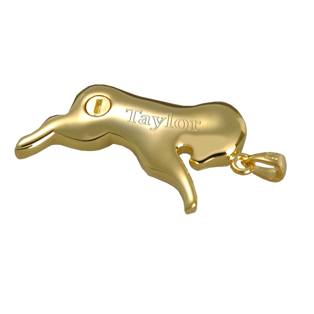 Gold Plated Zodiac Aries Ram Cremation Memorial Jewelry with Custom Engraving - Perfect for Keeping Loved Ones Close in Everyday Life and Special Occasions