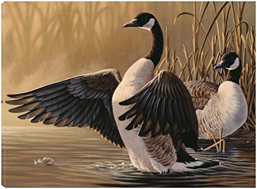 1994 Canada Geese