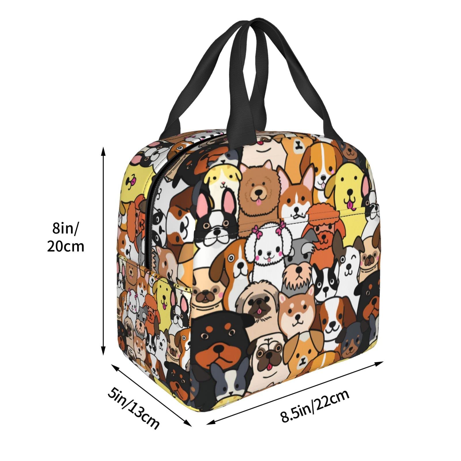 Insulated Reusable Lunch Box for Dogs - Leak Proof & Eco-Friendly Lunch Bag for Kids, Teens, Women - Perfect for School, Travel, Picnic & Beach Outings
