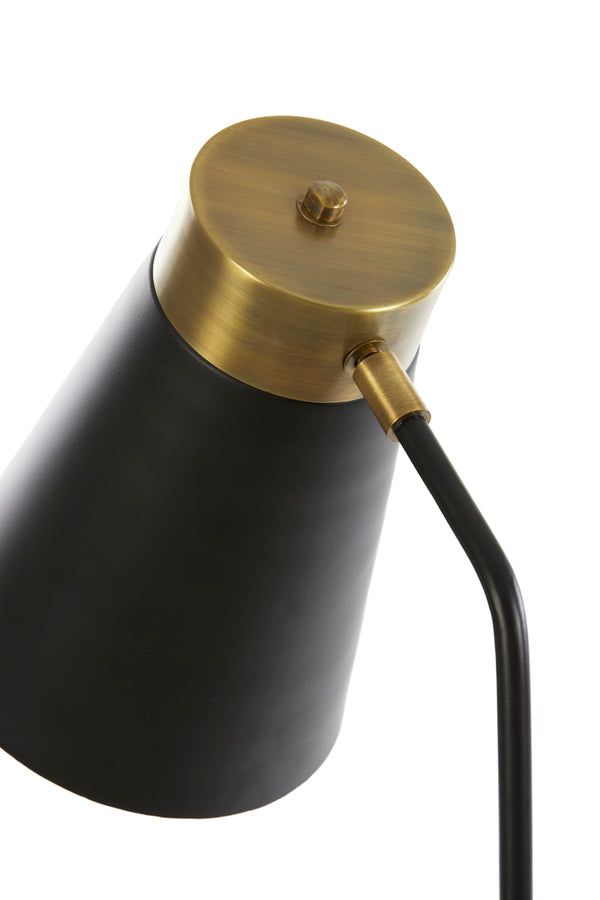 Braja Floor Lamp - Modern Matt Black & Antique Bronze Finish Standing Lamp for Living Room, Bedroom, or Office - Perfect for Reading, Ambient Lighting, and Home Decor