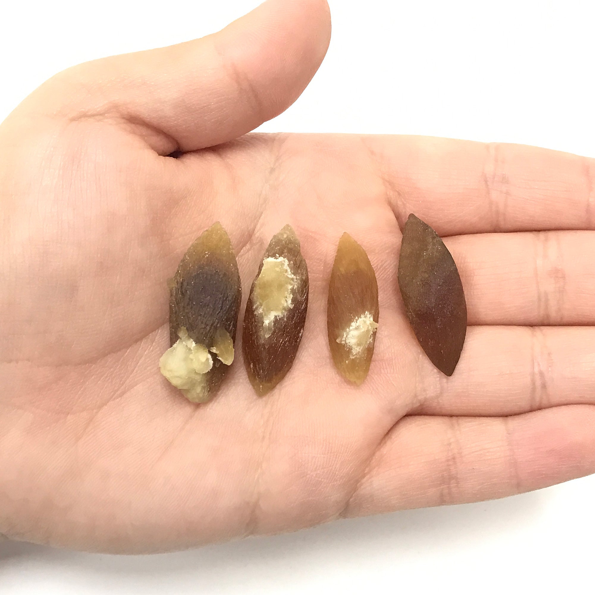 Natural Calcite Crystal 0.75–1 inch - Raw Healing Stones for Energy Work, Meditation & Chakra Balancing - Bulk Tumbled Stones for Spiritual Healing, Crystal Grids & DIY Crafts - Perfect for Home Decor, Reiki Practice & Gift Giving