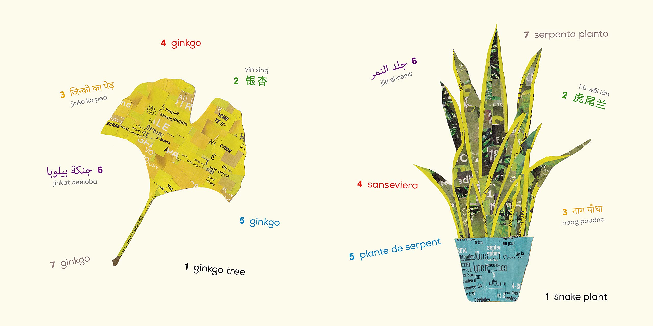 Plants (Multilingual Board Book) - Words of the World Series | Early Learning for Toddlers & Bilingual Education | Perfect for Preschool Classrooms & Home Libraries