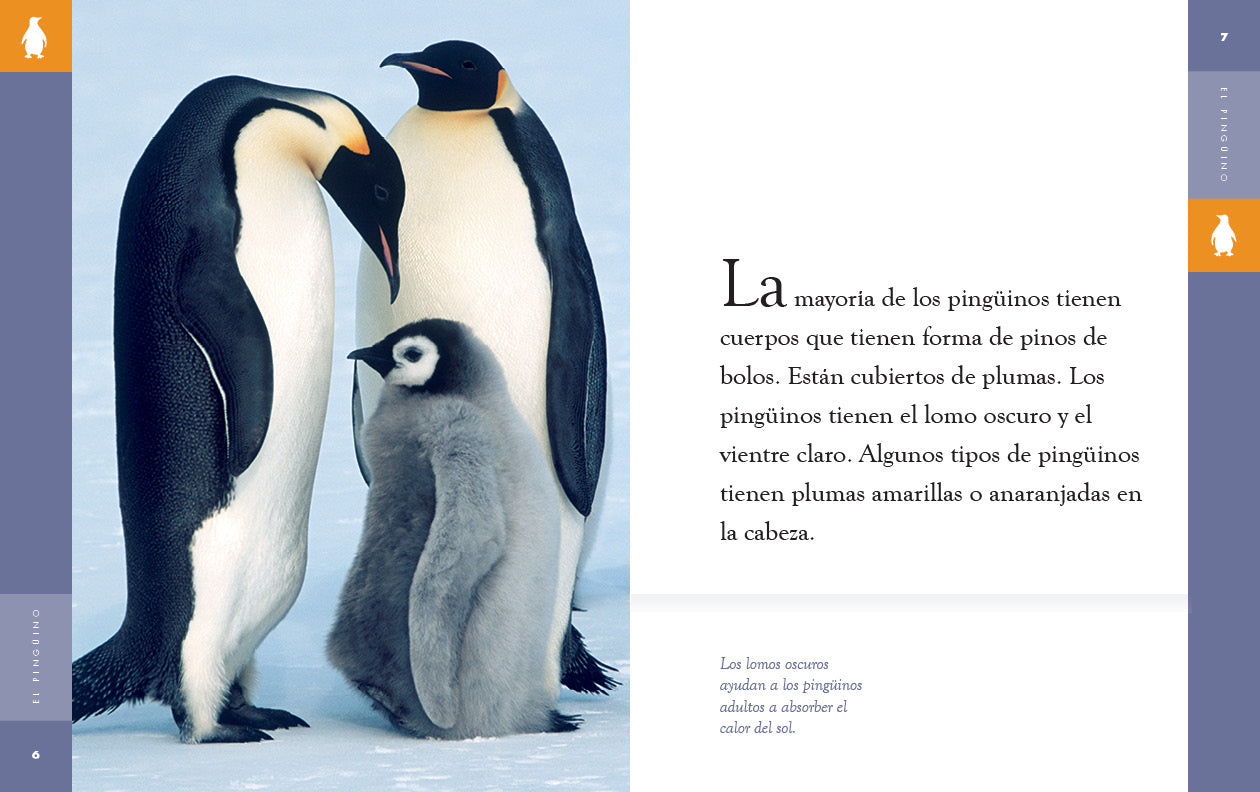 El Pinguino 9781640266780 - Children's Bilingual Spanish-English Book | Perfect for Kids Learning Spanish or English, Classroom & Homeschool Use