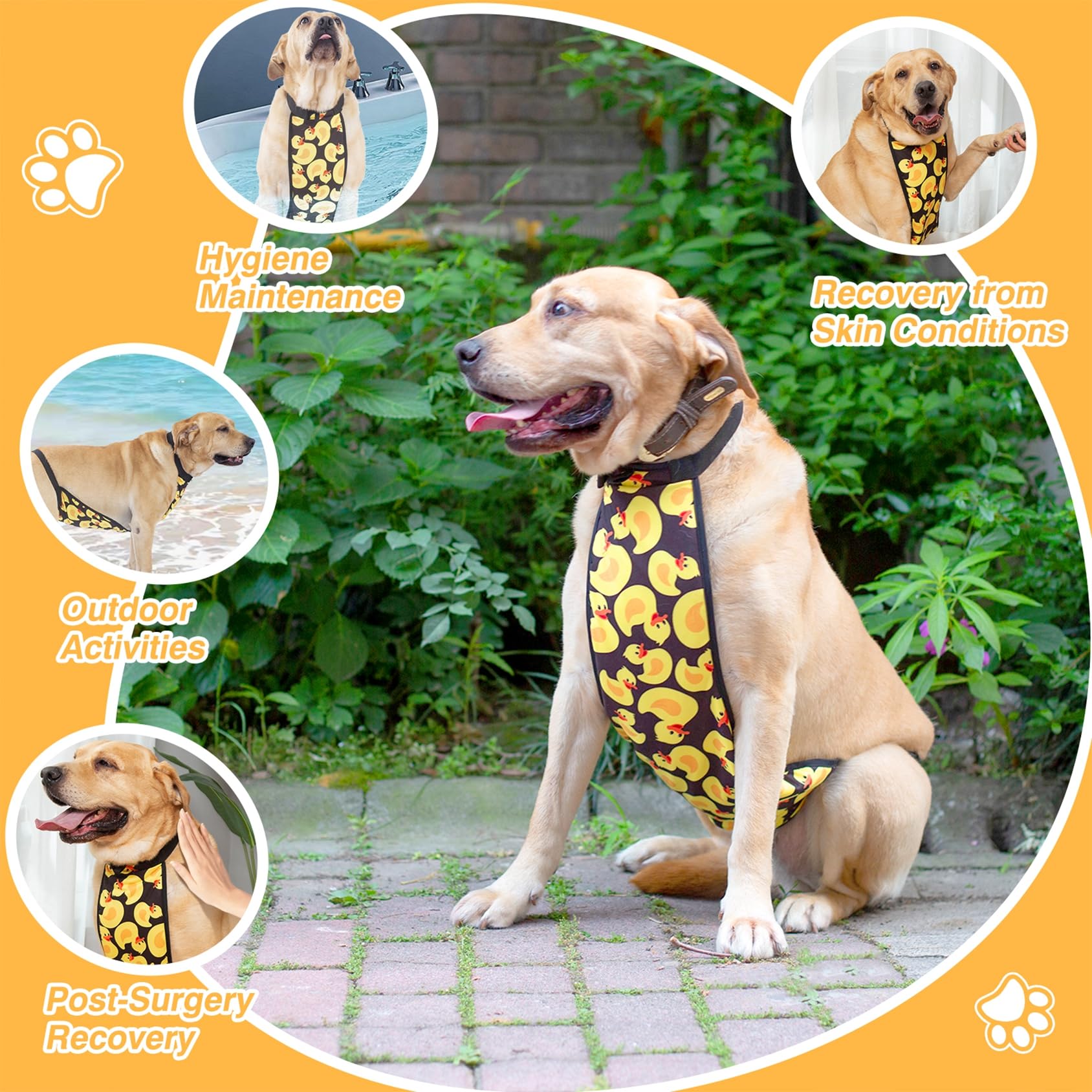 LovinPet Large Dog Belly Cover - Washable Dog Belly Wrap & Recovery Suit for Post-Surgery Protection | Abdominal Protective Clothing for Dogs | Ideal for Spay/Neuter Recovery, Wound Care, and Post-Operative Comfort