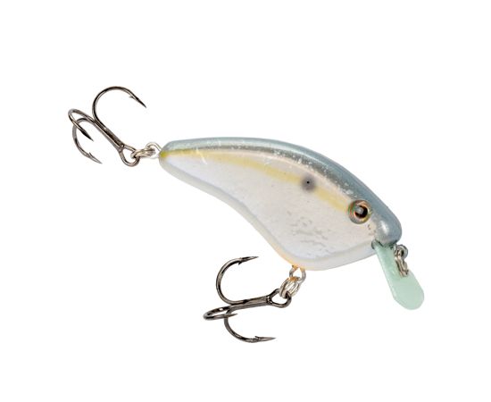 Sexy Shad 2.0