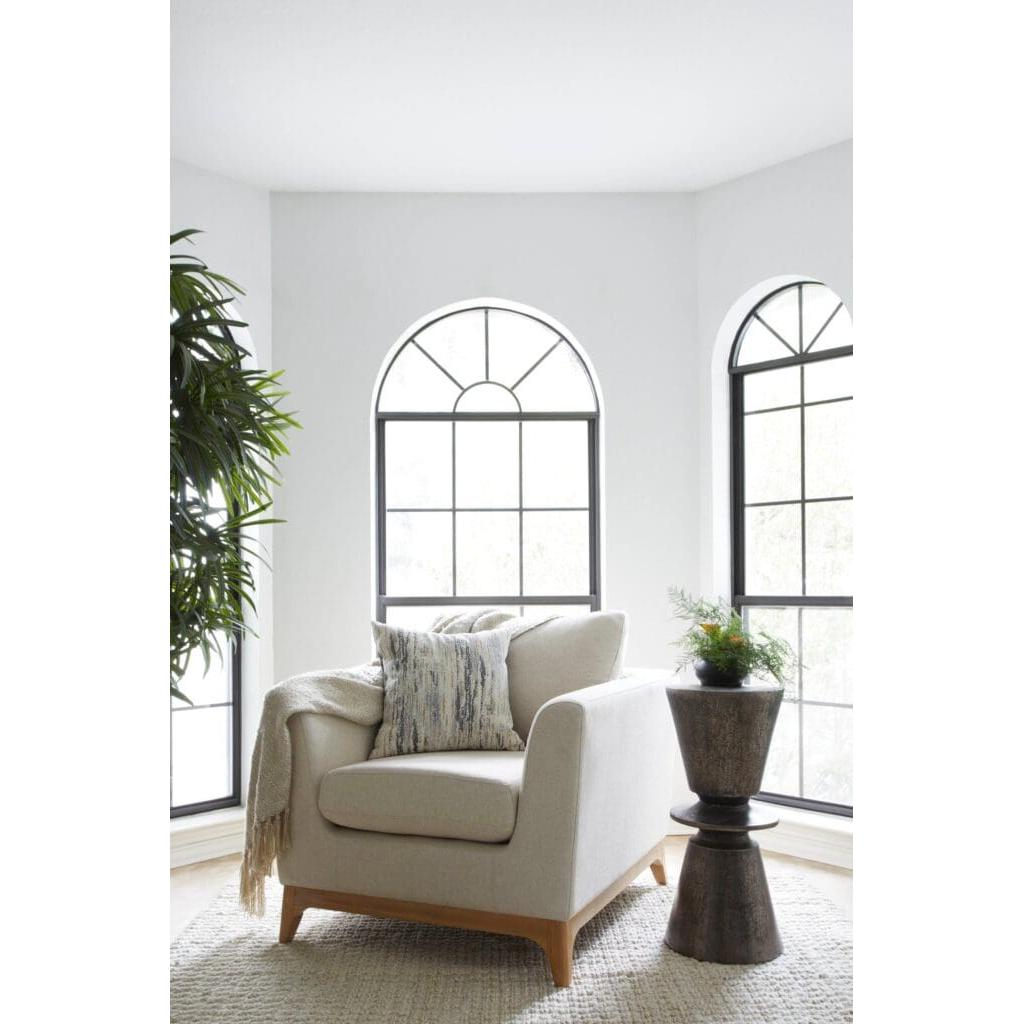 Cyan Design 11379 Chicory Chair - White & Cream Upholstered Accent Chair for Living Room, Bedroom, or Office Decor