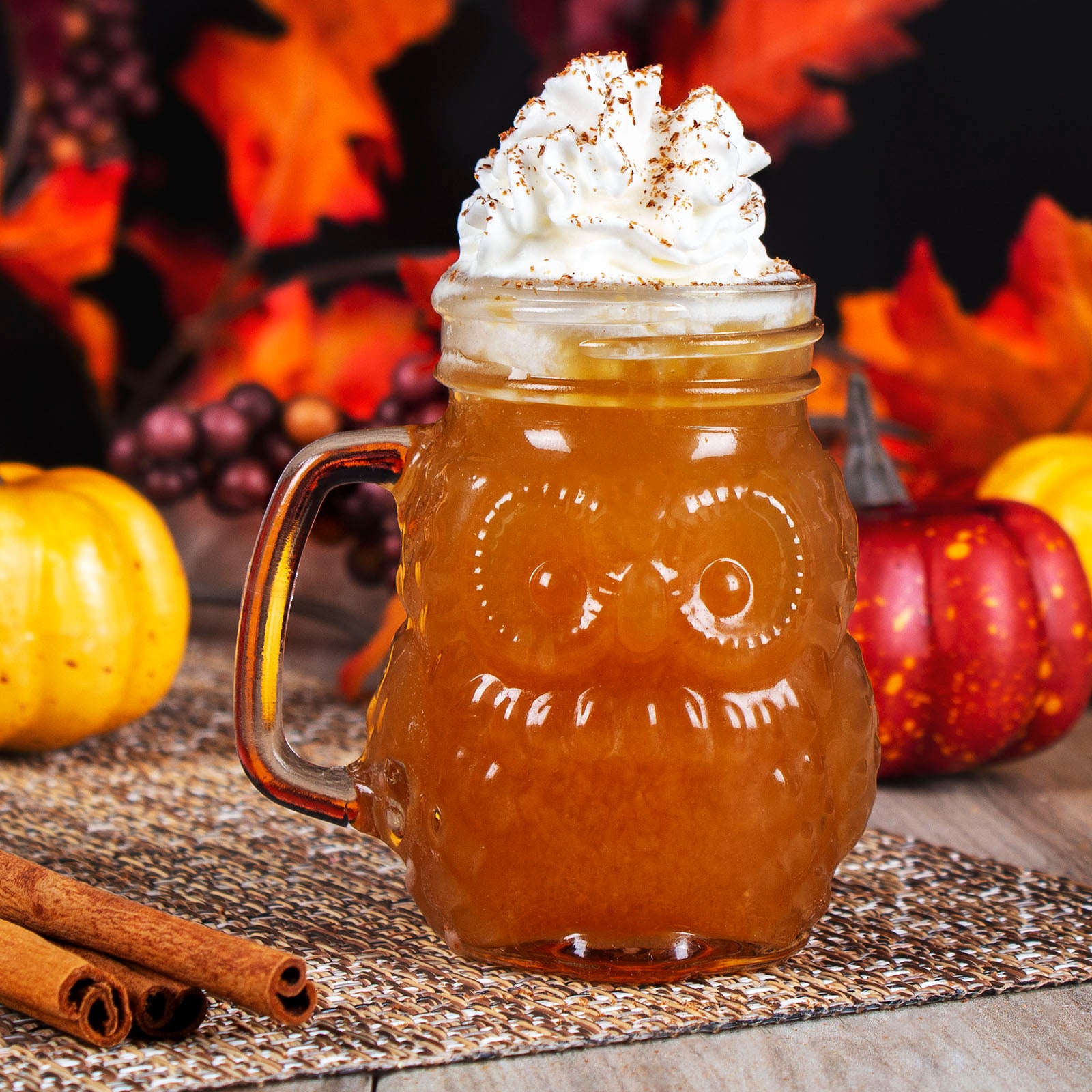 BarConic® 4oz Owl Mason Jar with Handle - Cute Glass Drinking Cup for Coffee, Tea, Juice - Perfect for Home, Office, Parties & Gifts