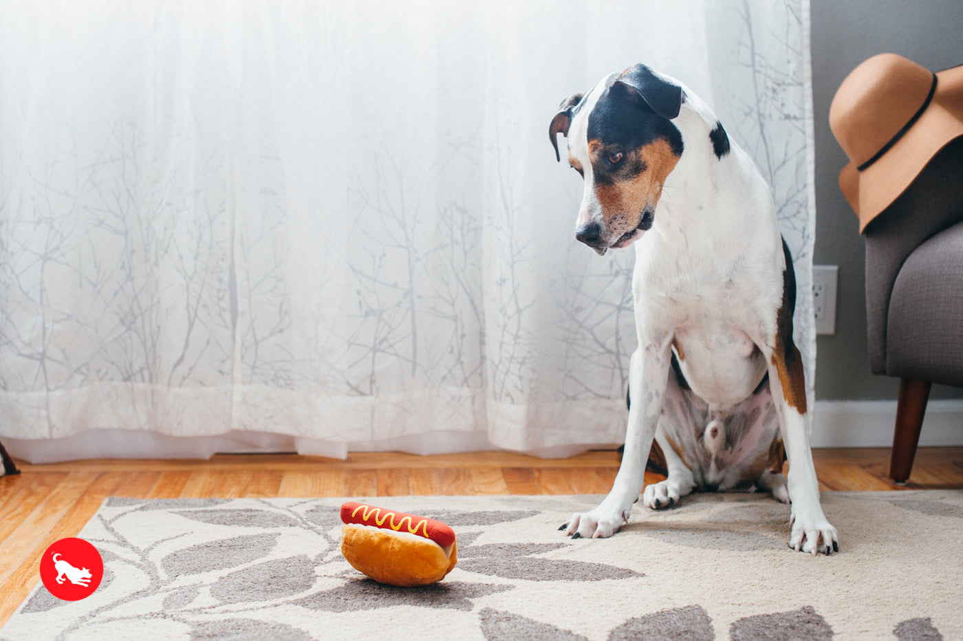 American Classic® Hot Dog Plush Dog Toy by Pet P.L.A.Y. - Durable Chew Toy for Small & Large Dogs - Perfect for Fetch, Tug-of-War & Cuddling