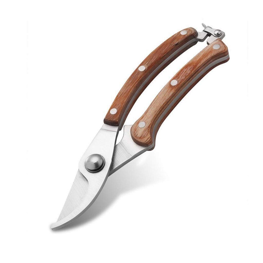 8 Inch Garden Pruning Shears - Professional Bypass Pruner for Trimming Branches, Plants & Flowers | Heavy Duty Gardening Shears for Gardeners | Perfect for Landscaping, Tree Care & Flower Arranging