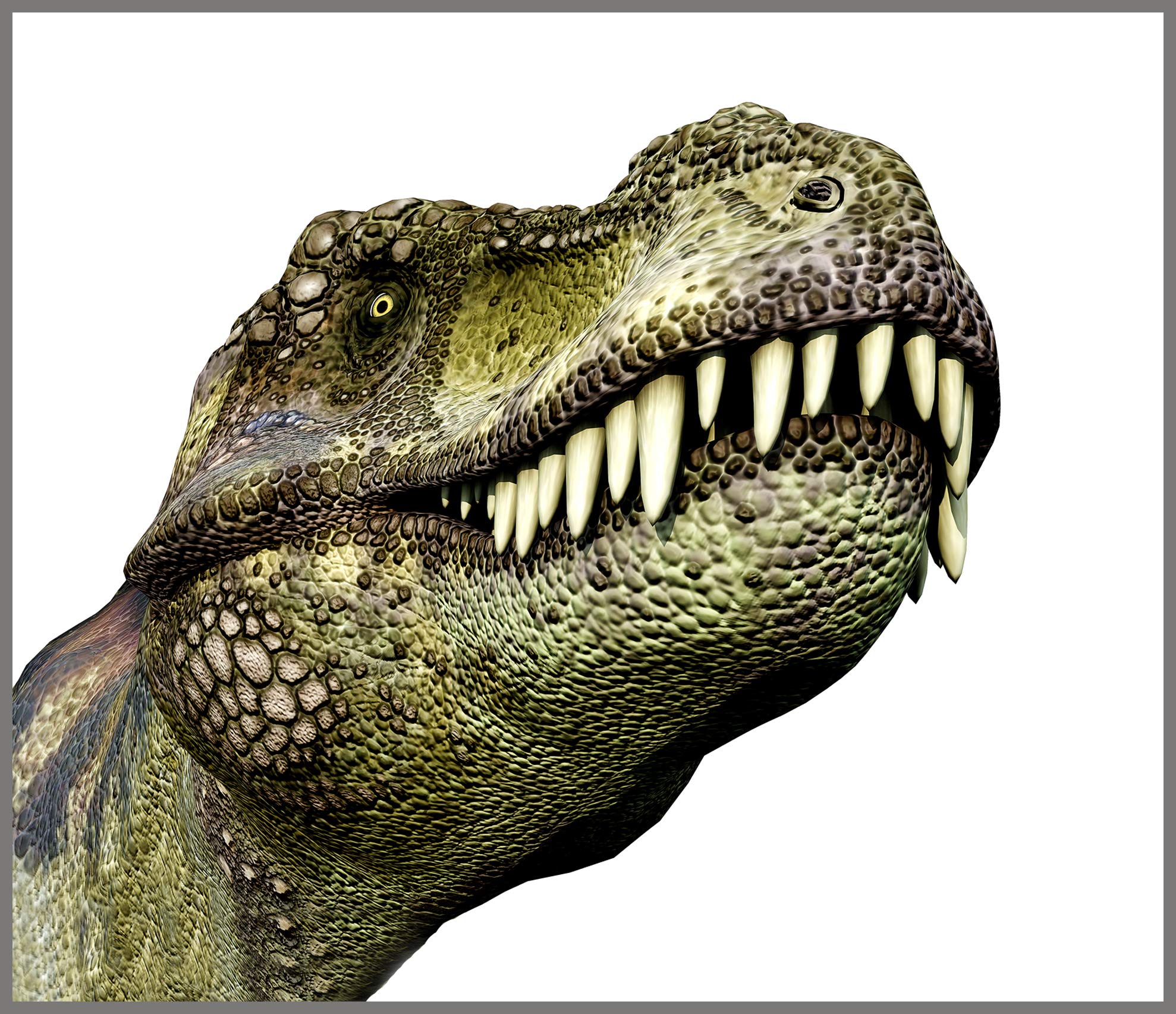 Brainstorm TOYS E2046 Dinosaur Projector and Nightlight for Kids - Bedroom Decor, Storytime Fun, and Soothing Night Light for Nursery & Playroom