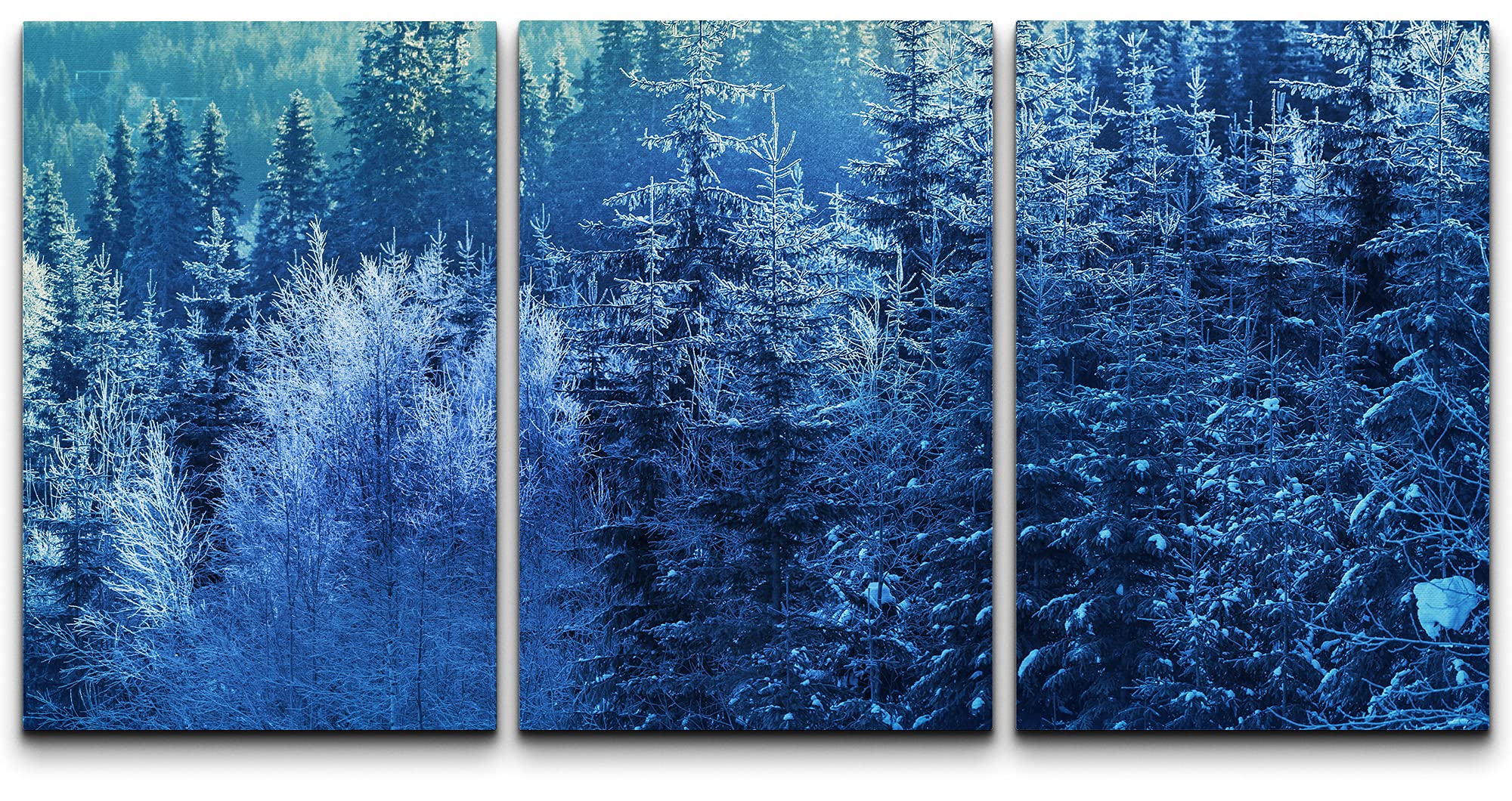 Frozen Blue Forest Pines Trees in Winter - Nature Wilderness Photography Canvas Print Wall Art Set (24