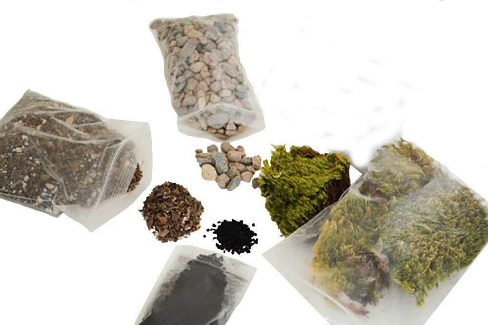 DIY Terrarium Kit for Fairy Garden - Create Your Own Mini Ecosystem | Perfect Home Decor, Office Desk Ornament & Unique Gift Idea for Plant Lovers