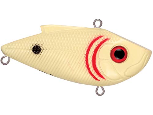 Bone Croaker