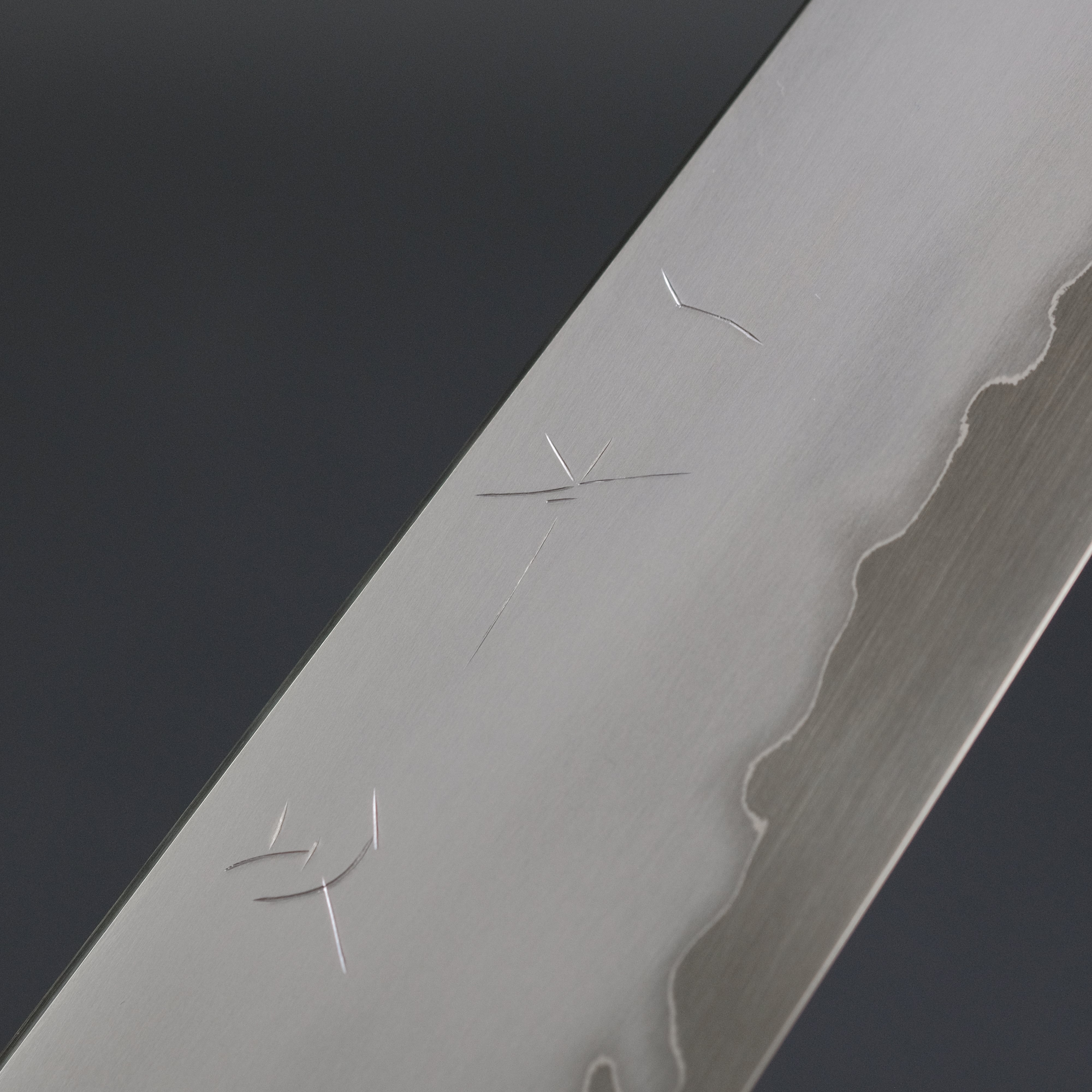 Hitohira Tanaka Izo Blue #1 Stainless Clad Gyuto 210mm Japanese Chef Knife - Premium Ziricote Wood Handle for Professional Chefs & Home Cooking - Perfect for Slicing, Dicing & Meat Cutting