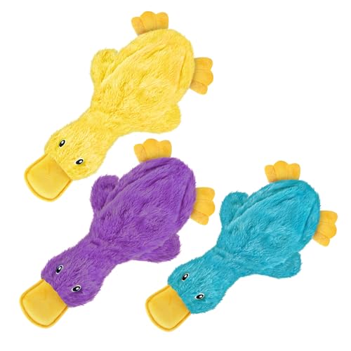 Yellow, Purple & Turquoise