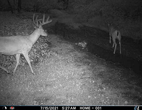 Cuddeback L Series Cellular Trail Camera - Verizon & AT&T Compatible with 3 Remote Cameras, 4 Solar Power Banks (PW-3600), 4 16GB SD Cards & Free Hunter's Hat - Ideal for Wildlife Monitoring, Hunting & Outdoor Security