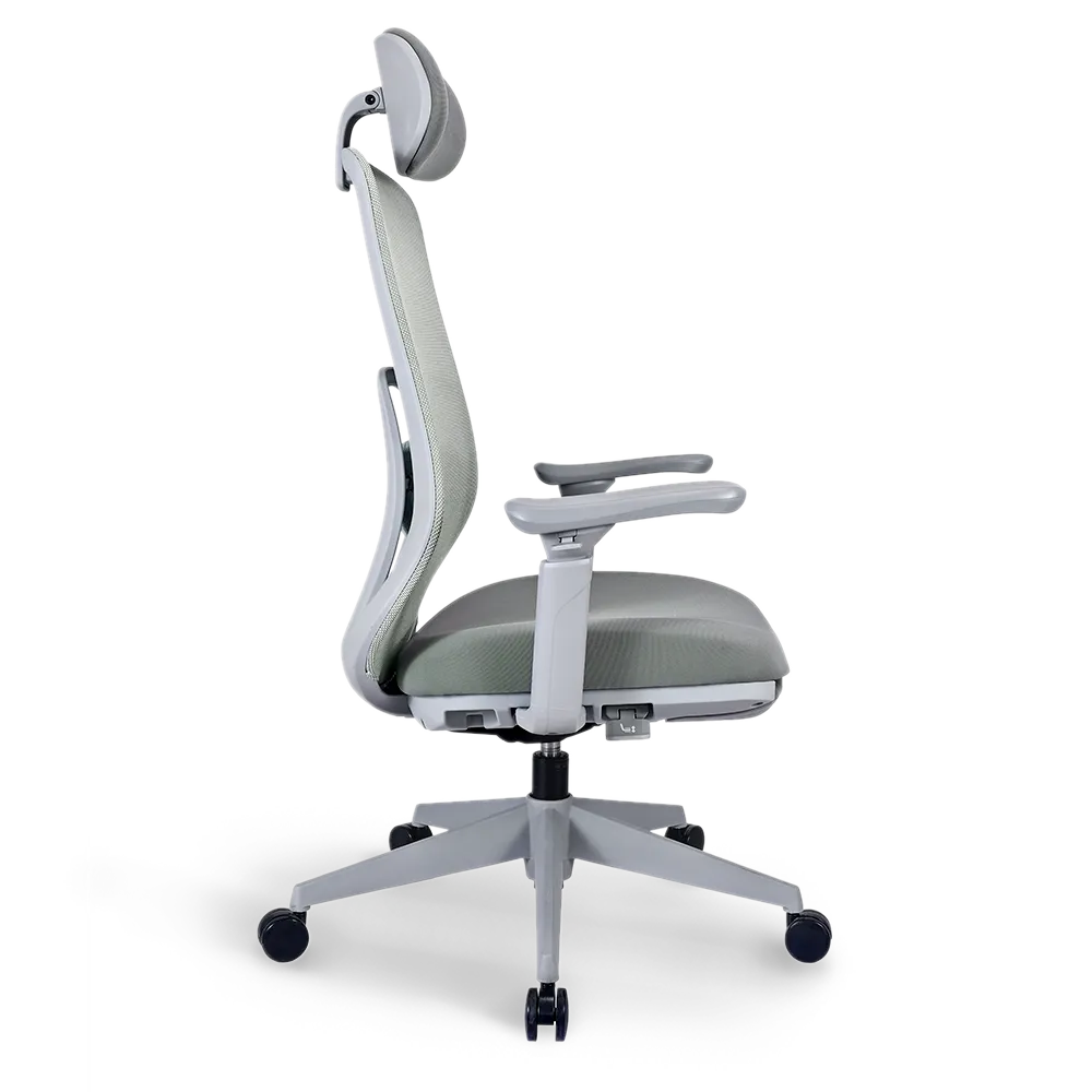 Pluto Ergonomic Office Chair - Adjustable Lumbar Support & Breathable Mesh Back - Perfect for Home Office, Gaming & Workspace