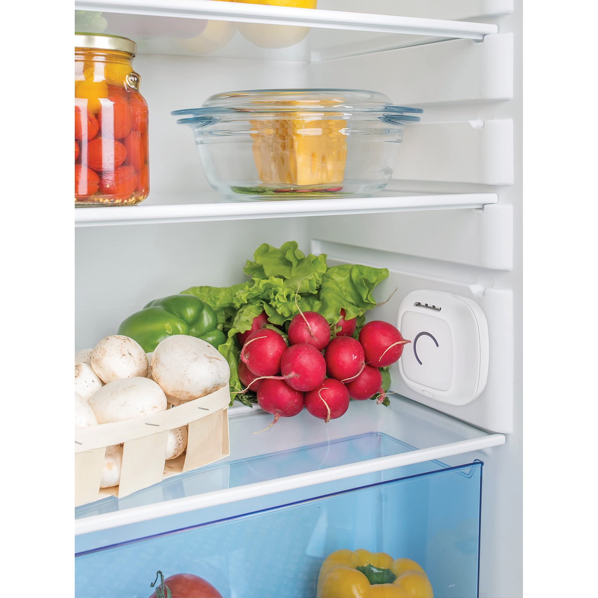 Best Refrigerator & Closet Air Sterilizer - Odor Eliminator & Bacteria Killer for Fresh Home & Wardrobe | Perfect for Kitchen, Bathroom, Baby Room & Travel