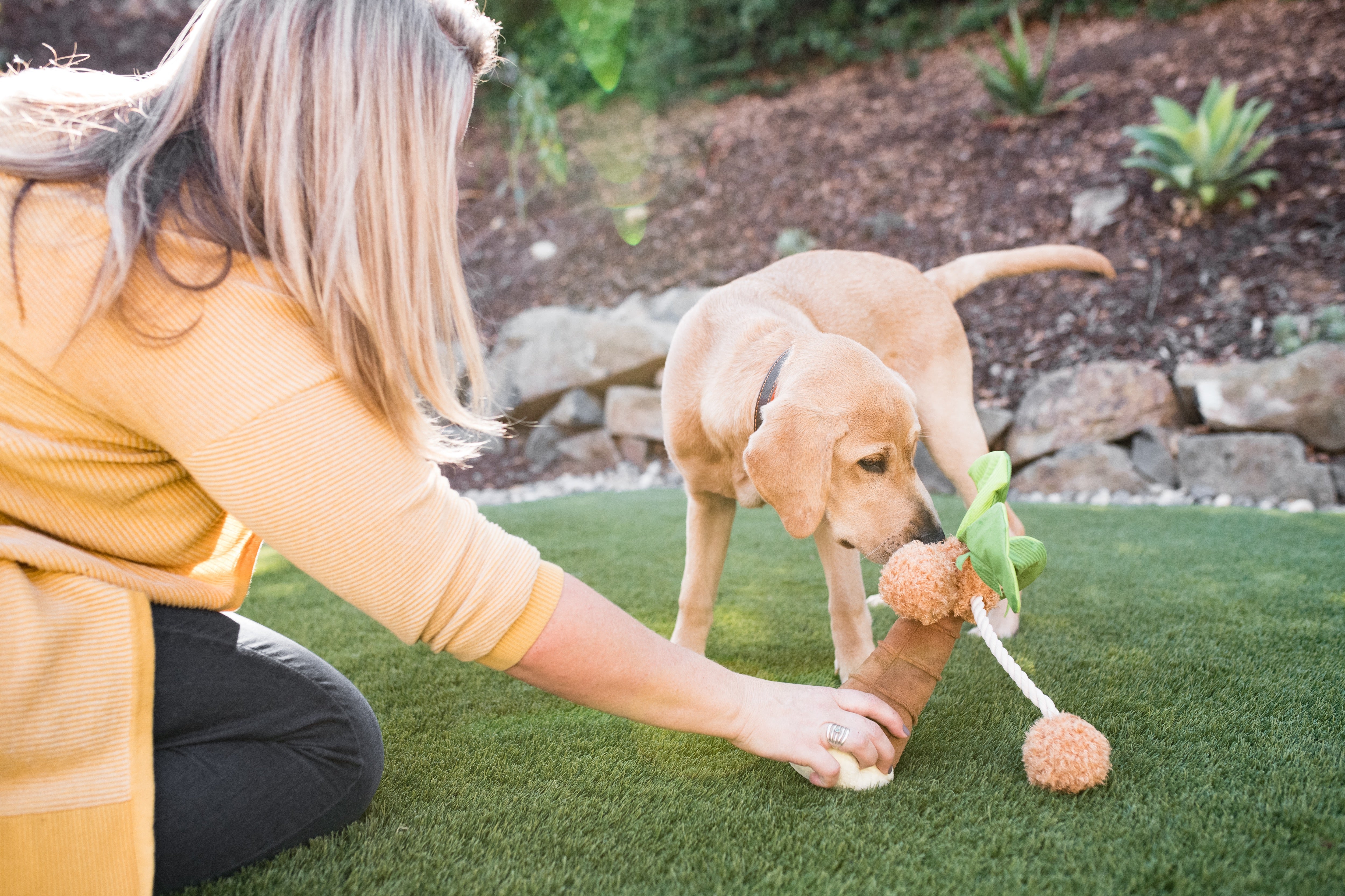 Tropical Paradise™ Dog Plush Toy - La Palma Soft Chew Toy for Dogs | Durable & Safe Pet Play | Perfect for Indoor & Outdoor Playtime