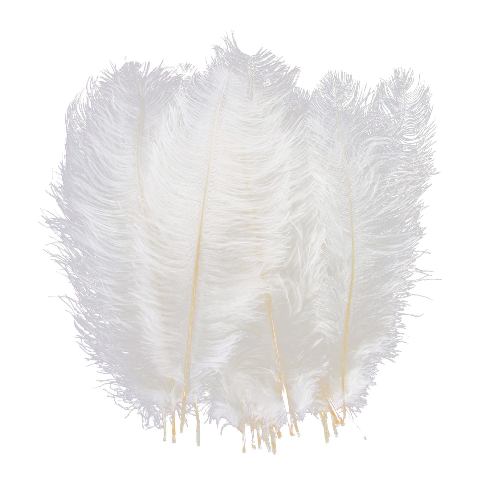 Natural Ostrich Feathers 10-12 inch (25-30cm) - 10pcs White Decorative Feathers for Wedding Centerpieces, Home Decor, Flower Arrangements, DIY Crafts, Christmas Decorations - Perfect for Table Settings, Bouquets, and Party Decor
