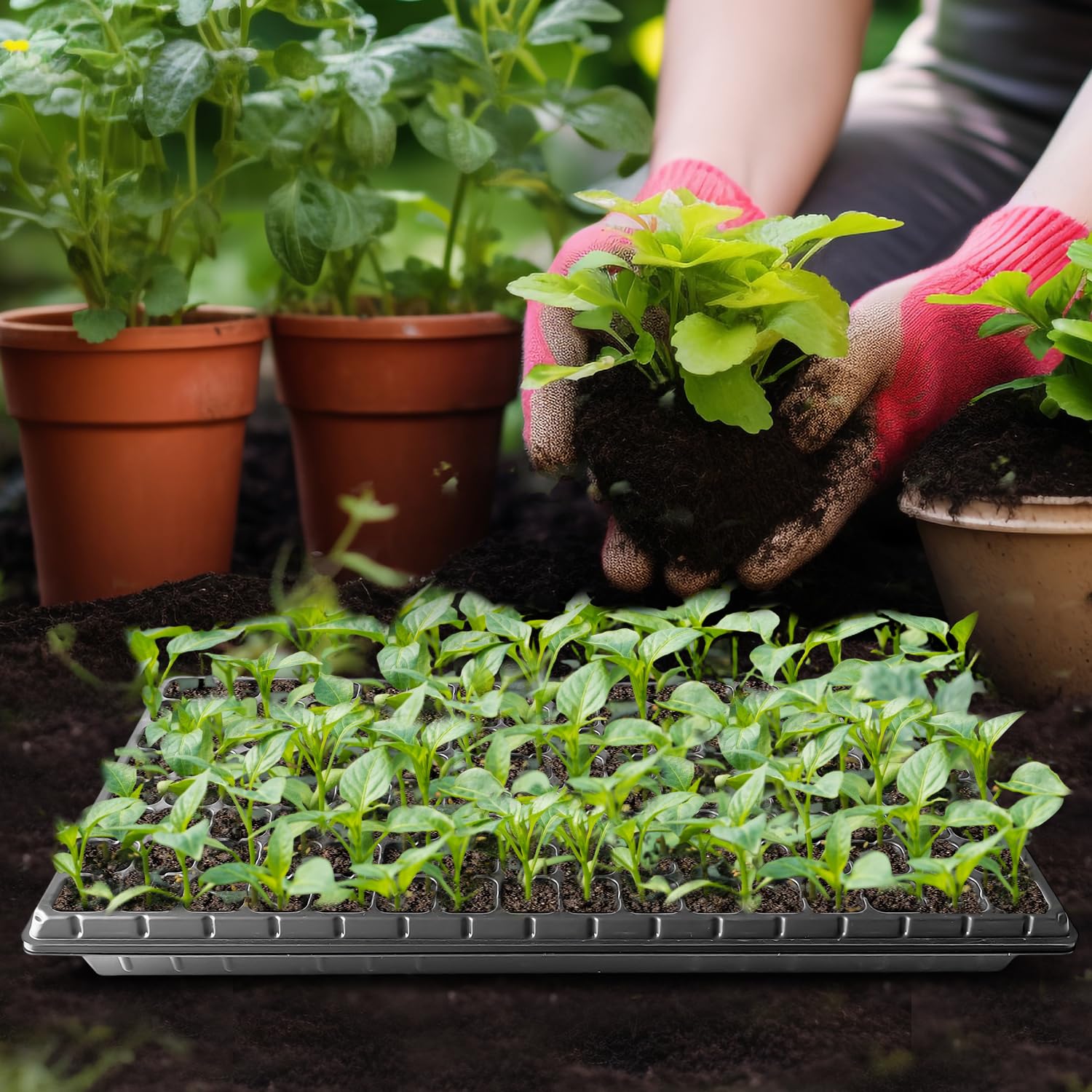 10-Pack 128-Cell Seed Starter Trays - Thick & Durable Nursery Plug Trays for Seedlings - 21.26