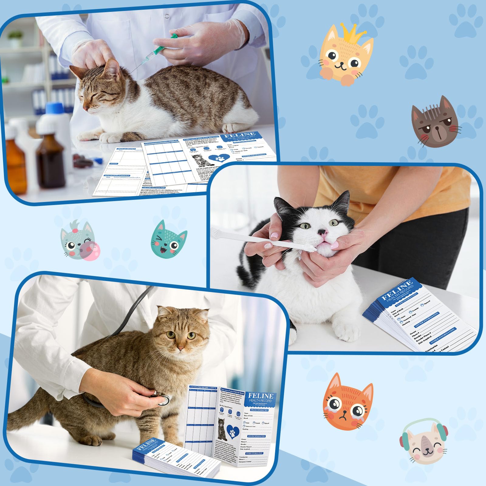 25 Pcs Cat Health Record Book - Foldable Vaccination Tracker for Kittens & Cats | Pet Vaccine Log, Shot Record Card | Ideal for Vet Visits, Grooming & Travel Documentation