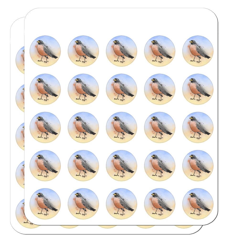 Robin Watercolor Stickers - Northeastern Bird Planner Calendar Decals for Scrapbooking, Journaling & DIY Crafts | Perfect for Bullet Journals, Gift Wrapping & Home Decor