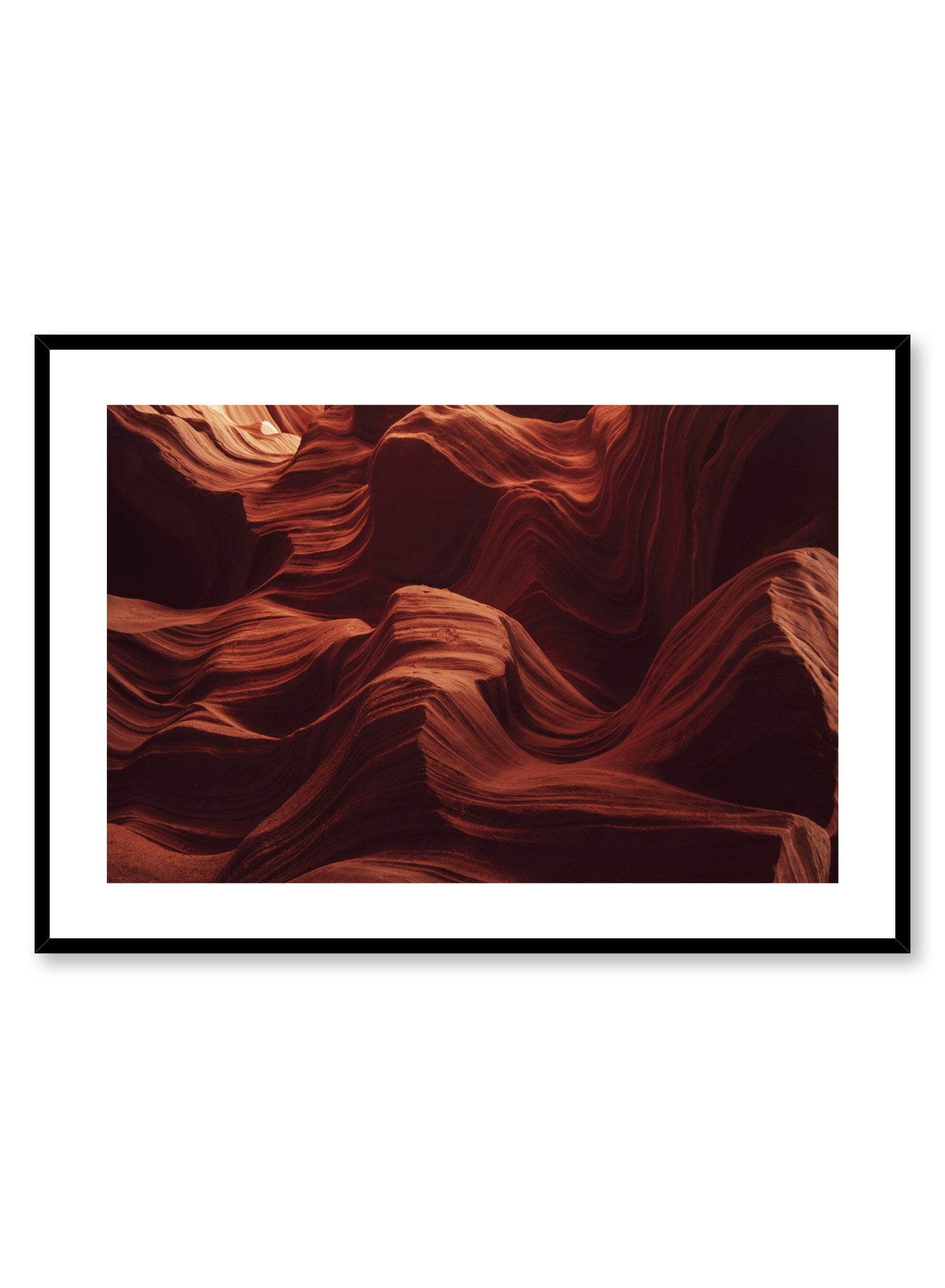 Nature's Curves Wall Art Poster - Elegant Botanical Print for Home & Office Decor - Perfect for Living Room, Bedroom, or Workspace Aesthetic