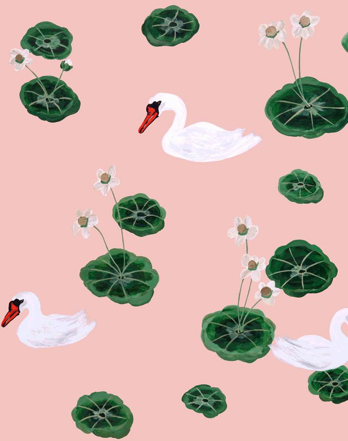 Lily Pad Lake Pink Wallpaper by Carly Beck - Nature-Inspired Home Decor for Bedroom & Living Room