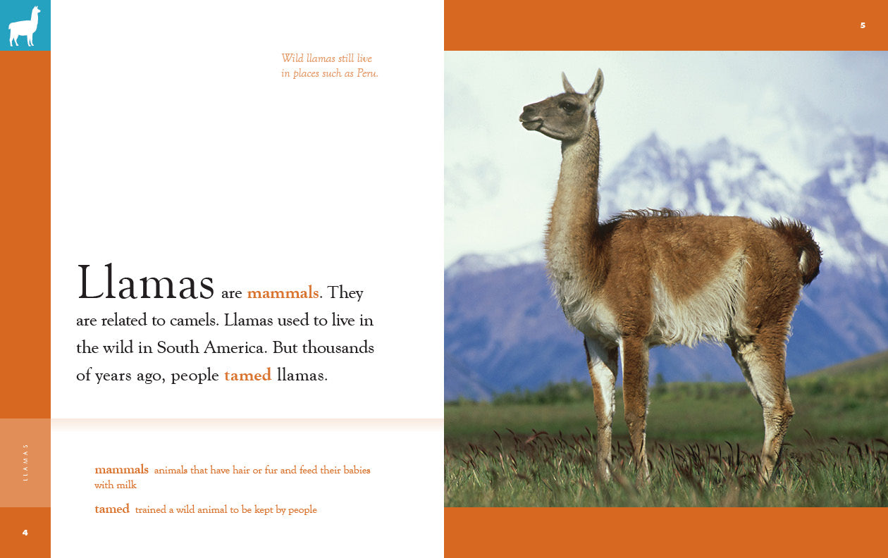 Llamas Book 9781640265684 - Learn About Llamas, Their Habitat & Behavior - Perfect for Animal Lovers & Kids Educational Reading