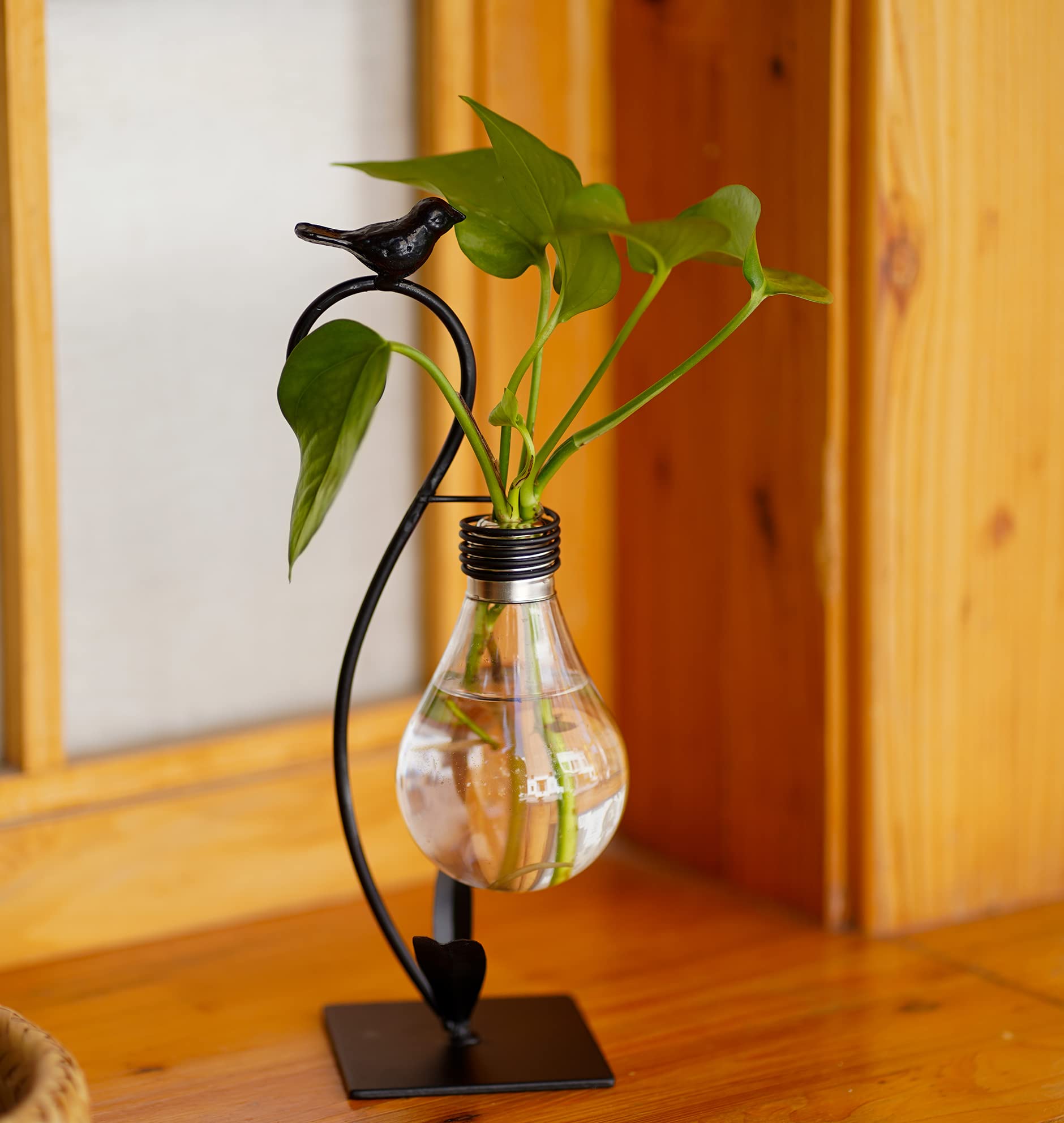 Modern Plant Terrarium & Hydroponic Vase - Desktop Planter Propagation Station for Home & Office Decor | Creative Bird-Shaped Plant Holder Stand | Perfect Gardening Gift for Plant Lovers (Ideal for Indoor Plants, Succulents, Air Plants & Home Decor)