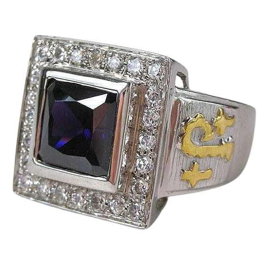 Princess Amethyst Sterling Silver Bishop Ring - Elegant Purple Gemstone Jewelry for Women | Perfect for Weddings, Parties & Special Occasions