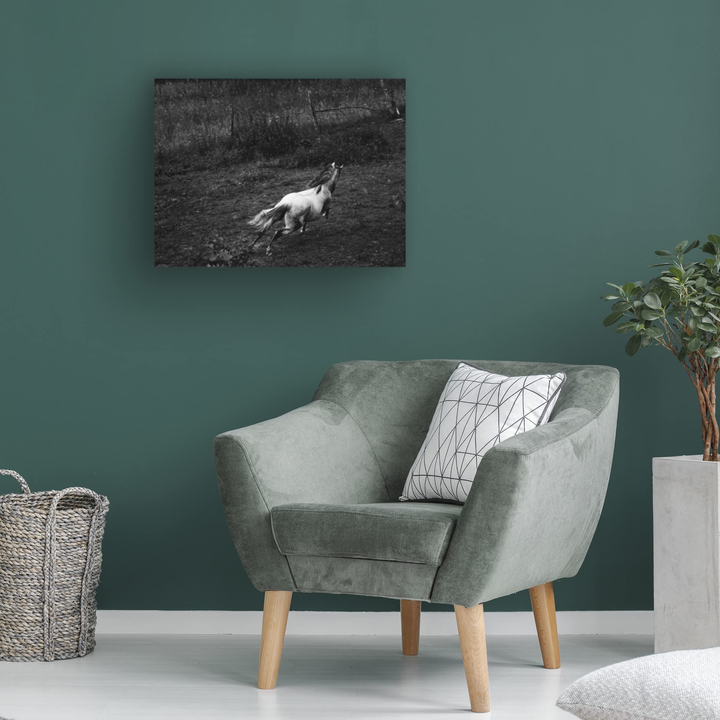Trademark Fine Art 'Running Horse' Canvas Wall Art by Aledanda - Elegant Home Decor for Living Room, Office & Bedroom