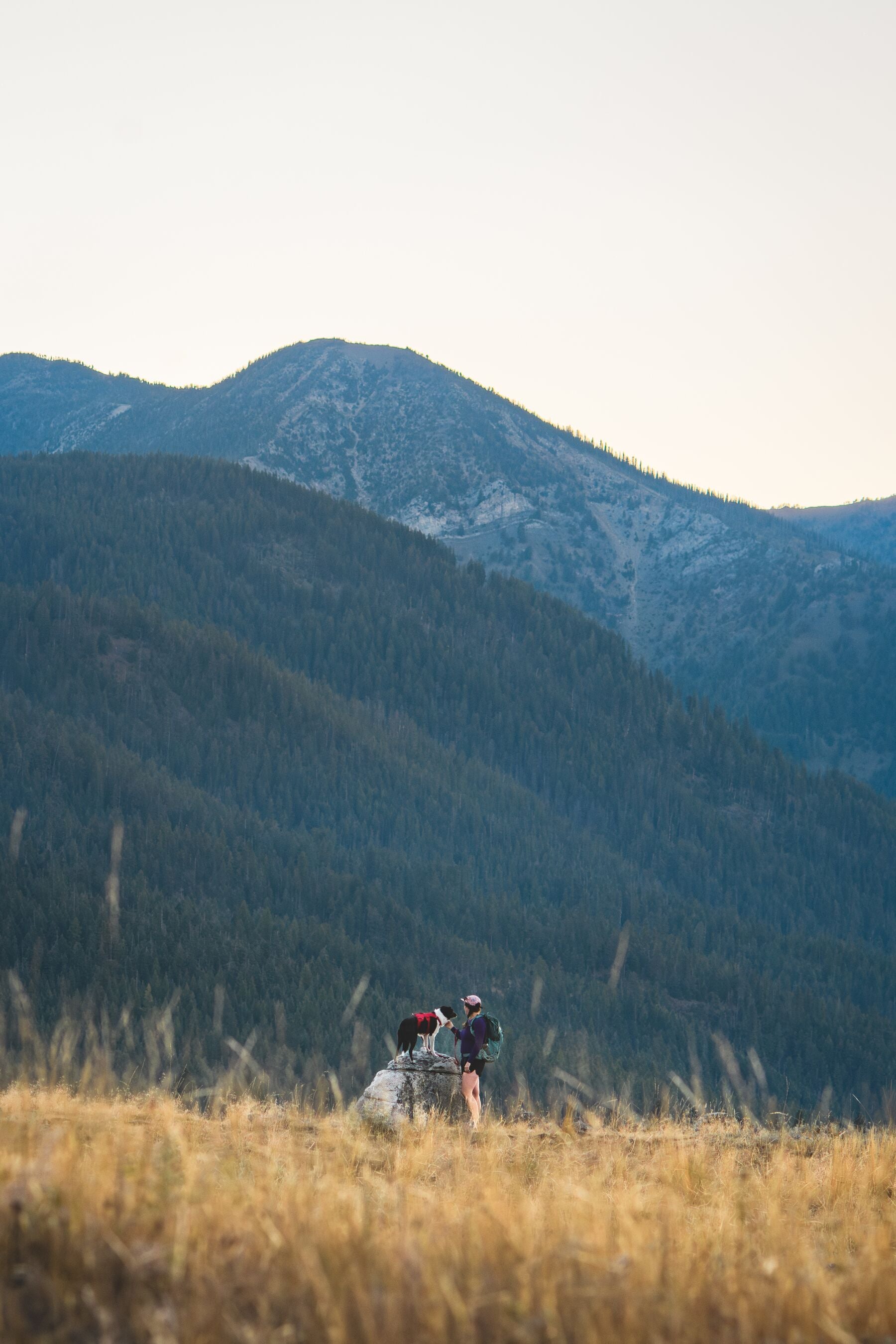 Ruffwear® Web Master™ Multi-Use Harness with Handle & Anti-Pull System - Red Canyon | Perfect for Hiking, Running & Outdoor Adventures with Your Dog