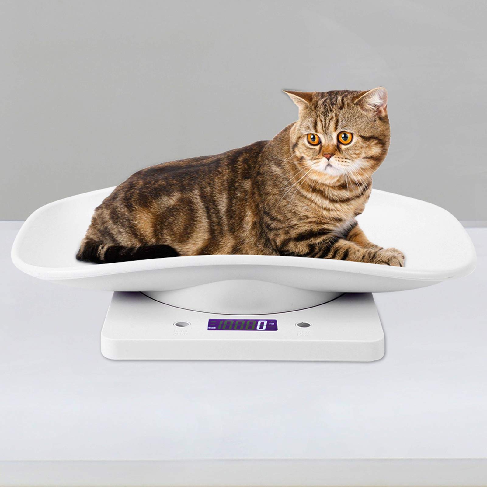Gedourain Digital Baby Scale - Accurate Infant & Pet Scale for Newborns, Puppies, Cats & Small Animals - Perfect for Weighing Food & Tracking Growth at Home