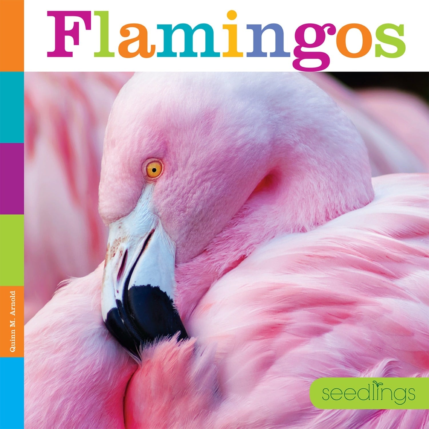 Flamingos Book - ISBN 9781608188673 - Perfect for Bird Lovers & Nature Enthusiasts