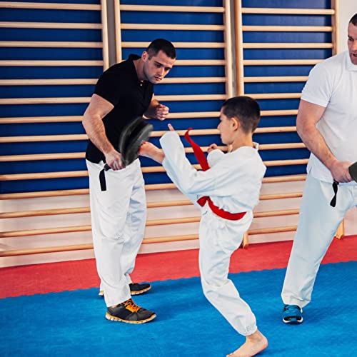 Premium Taekwondo Kick Pad - High Density Foil Striking Target for Tae Kwon Do, Karate, Kickboxing & MMA Training - 15.4