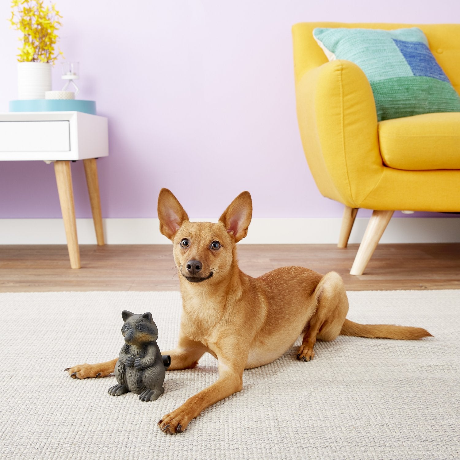 Petsafe Squeaky Raccoon Dog Toy with Sound - Interactive Chew Toy for Small & Medium Dogs - Perfect for Playtime, Training & Anxiety Relief