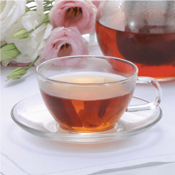 Hario Heat Resistant Glass Teacup with Saucer - 230ml (8oz) Japanese Tea Cup for Green Tea, Matcha, Herbal Tea - Perfect for Home, Office & Tea Ceremonies